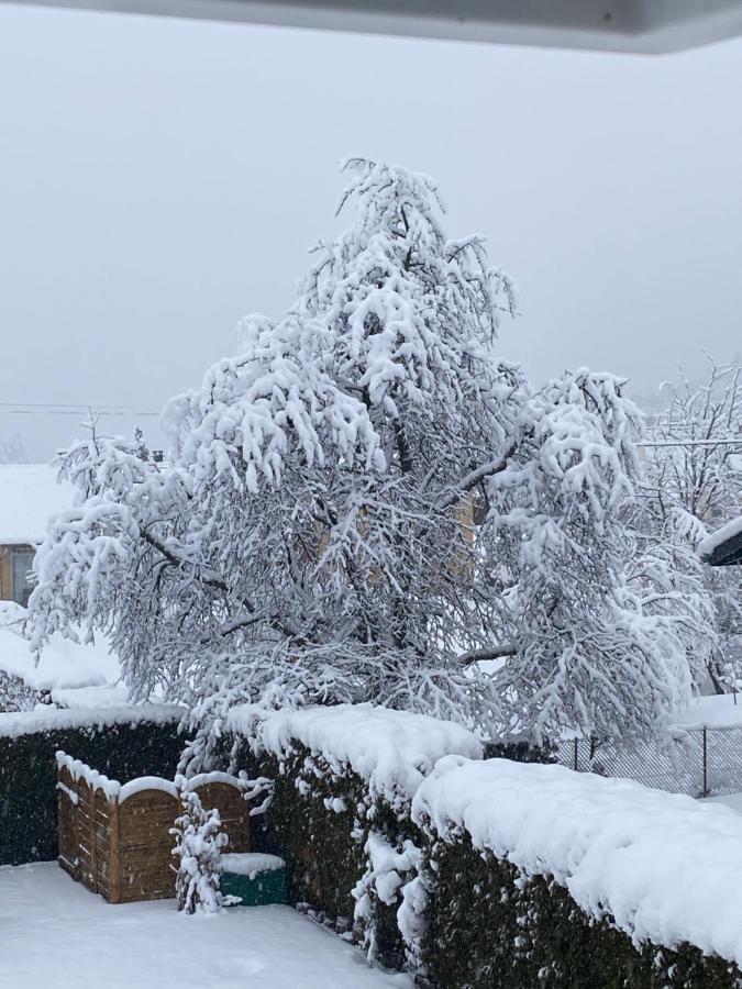 Chez Nono Villa Mitzach Kültér fotó